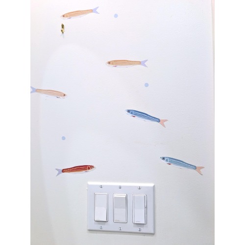 Adorable Sardine Wall Decals