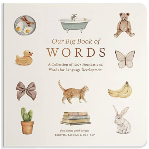 Our Big Book of First Words: A Collection of 100+ Foundational Words for Language Development (Tabitha Paige Children's Book Series)
