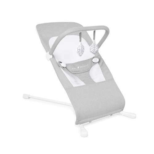 Baby Delight Highland Portable Baby Bouncer, 3-Position, Infants 0-6 Months, Pebble Grey (Unisex)