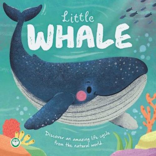Nature Stories: Little Whale - by Igloobooks (Board Book)