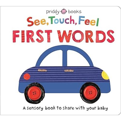 See Touch Feel: First Words: A sensory book for babies and toddlers