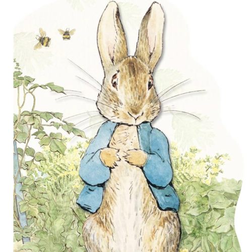 Peter Rabbit Large Shaped Board Book