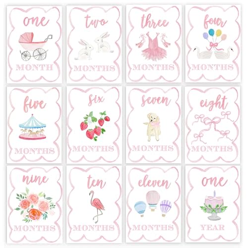 Watercolor Monthly Milestone Cards | Baby Milestone Cards Set, Monthly Markers for for Newborn to 12 Months, Photo Prop, Baby Shower (Pink)