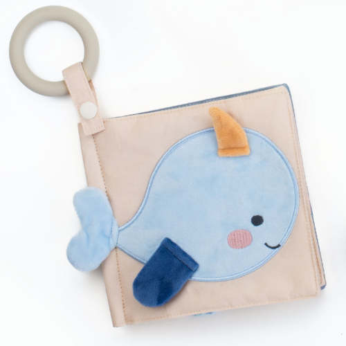 Sensory Baby Book