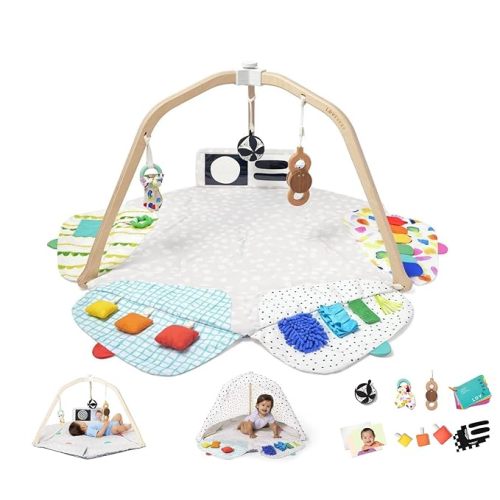 LOVEVERY | The Play Gym | Award Winning For Baby , Stage-Based Developmental Activity Gym & Play Mat for Baby to Toddler