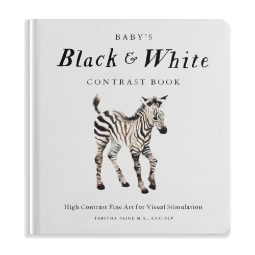 Baby's Black and White Contrast Book - Paige Tate Infant Development | Maisonette