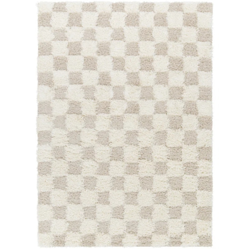 Molly Checkered Indoor Rug