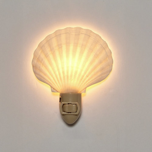 The Seashell Company Irish Deep Seashell LED Night Light & Reviews | Wayfair