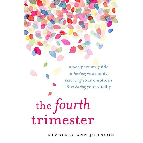 The Fourth Trimester By Kimberly Ann Johnson