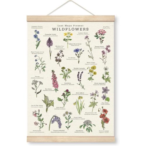 Yxadu British Wildflowers Artwork, Wildflower Identification Chart Canvas Wall Flag, Botanical Floral Art Decor for Nature & Gardening Enthusiasts, Canvas Poster Wood Hanger, Farmhouse Door Decor