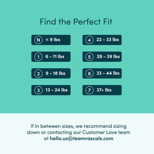 Rascals Premium Absorbent Baby Diapers Size 2, 96 Count (Select for More Options)