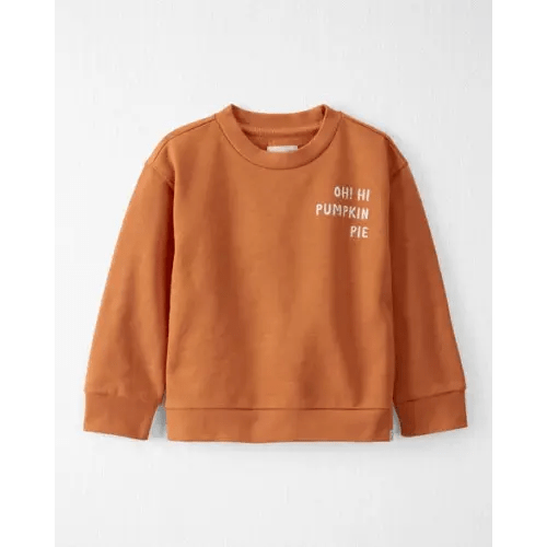 Toddler Organic Cotton Pumpkin Pie Pullover - Little Planet | Carter's