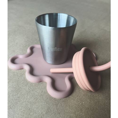 Stainless Steel Training Cup with Silicone Top and Straw