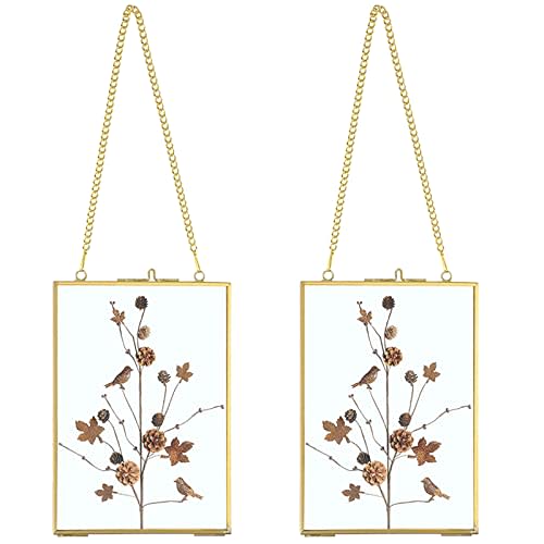 JUXYES Set of 2 Wall Hanging Brass Frames Ornament for Pressed Flowers, Double Glass Hanging Picture Artwork Display Frame, Vertical Gold Floating Style Gallery Wall Frame for Photo Picture Poster etc, 5x7 Inches
