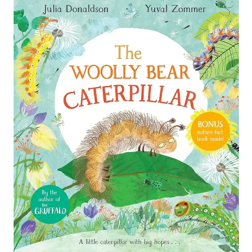 The Woolly Bear Caterpillar