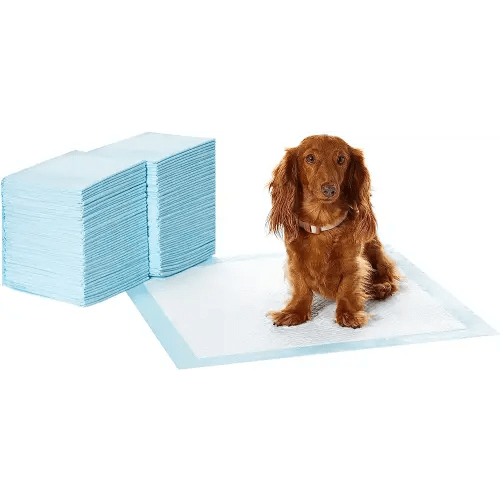 Amazon Basics Dog and Puppy Pee Pads with Leak-Proof Quick-Dry Design for Potty Training, Standard Absorbency, Regular Size, 22 x 22 Inches, Pack of 100, Blue & White