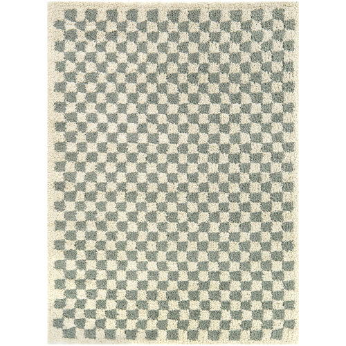 AllModern Walker Checkered Sage/Cream Shag Area Rug & Reviews - Wayfair Canada