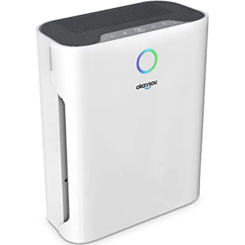 Okaysou Air Purifiers for Home Large Room, Bedroom, Covers up to 1008 Sq Ft, H13 True HEPA & Washable Filter, 23dB Sleep Mode Quiet Cleaner Odor Eliminators Removes 99.97% Dust Smoke Pollen Dander Hair, White