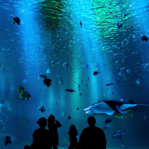 Admission - Mystic Aquarium