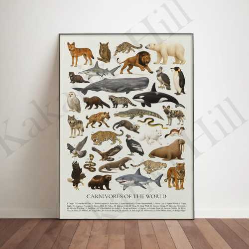 Carnivores of the World Poster: Retro Animal Identification Chart