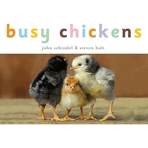 Busy Chickens (A Busy Book)