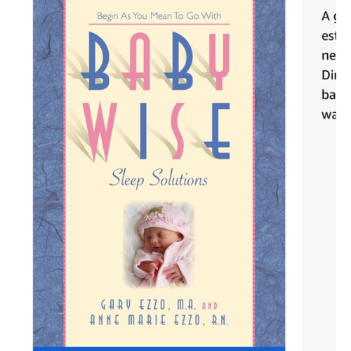 Babywise Sleep Solutions: Begin as You Mean to Go with (To the Point)