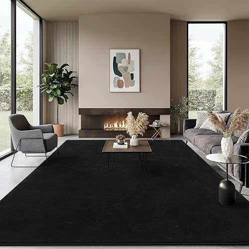 B BENRON Soft Rugs for Living Room 5x7 Black, Minimalist Area Rug for Bedroom Nursery Dining Table Dorm, Throw Rugs for Men Boys Girls Kids Room Indoor Floor Carpets
