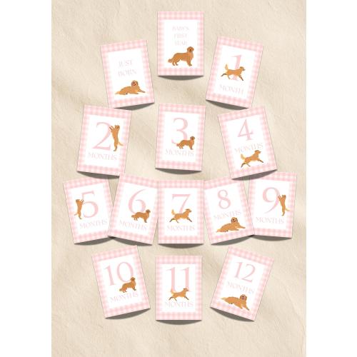 Golden Retriever Baby Milestone Cards | Pink Gingham First Year Photo Props (Digital Download)