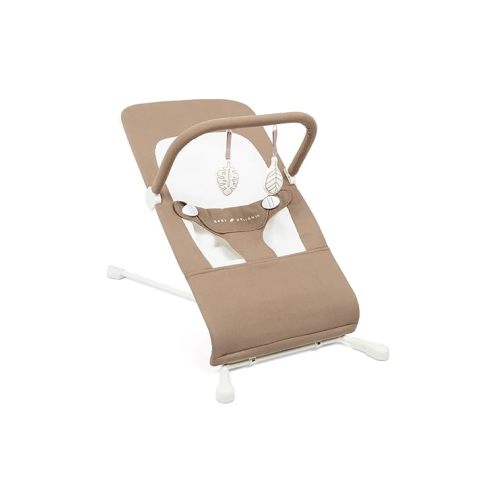 Baby Delight Highland Organic Baby Bouncer | Infant | 0 – 6 Months | 3-Position Recline | Organic Mocha