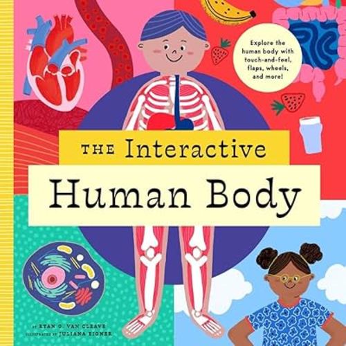 The Interactive Human Body: Explore the human body with flaps, wheels, levers, touch and feel, and more! (The Interactive Explorer, 3)