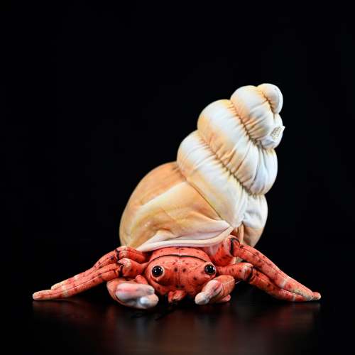 Realistic Hermit Crab Plush Toy – Soft, Adorable, and Perfect for Ocean Lovers