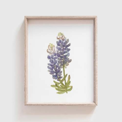 Bluebonnet Art Print | Made in the USA | Fox Hollow Studios – Tabitha Paige