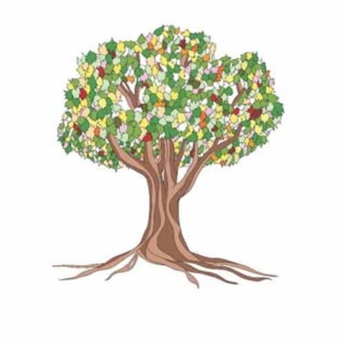 New Beginnings Registry