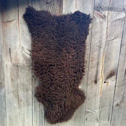 Brown Trout — Cornú Hidecraft