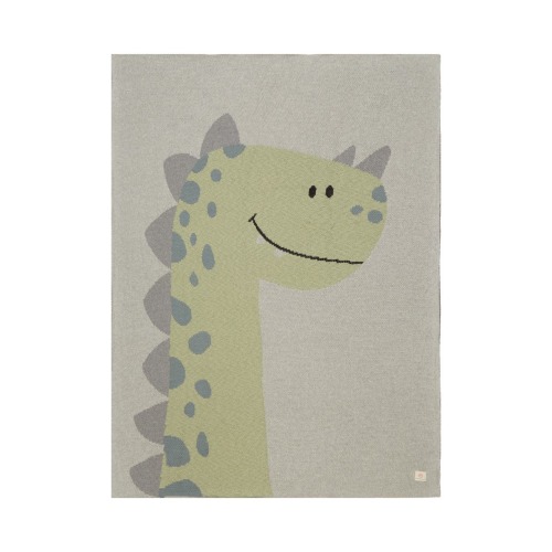 Baby Dinosaur Organic Cotton Baby Blanket