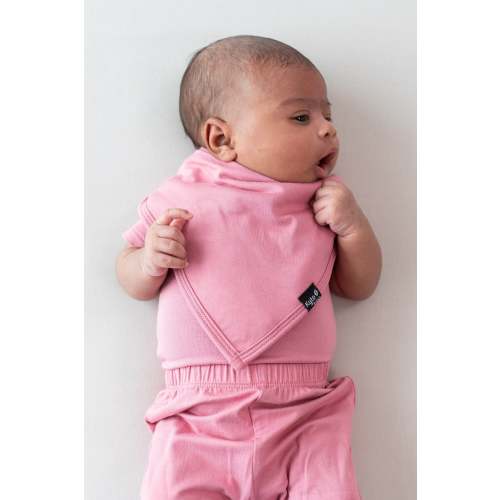 Bib in Apple Blossom