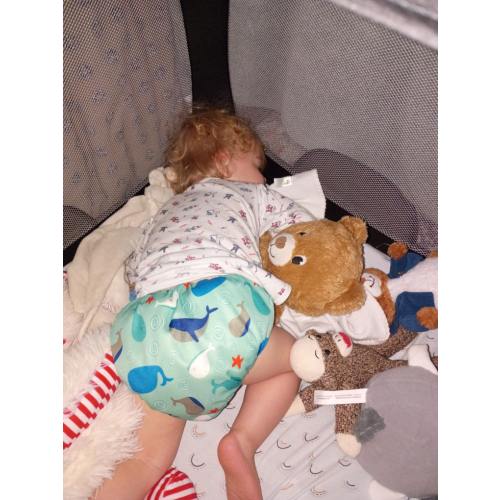 Cloth diapers (one-size fitted or all-in-ones)