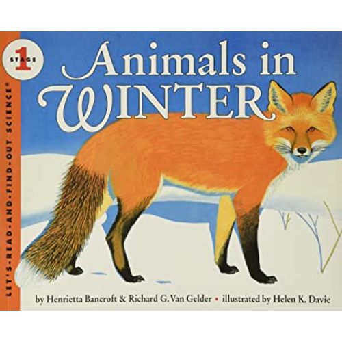 Animals in Winter