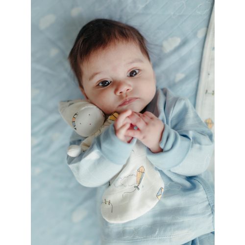 Muslin Sleeping Lovey - Kites