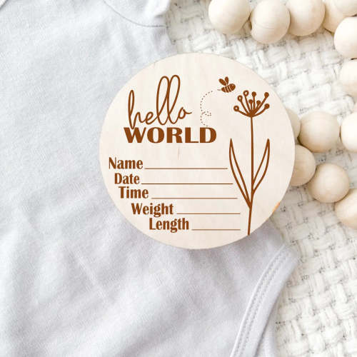 Birth Announcement Wood Hello World Stat Plaque | Wildflower Bee