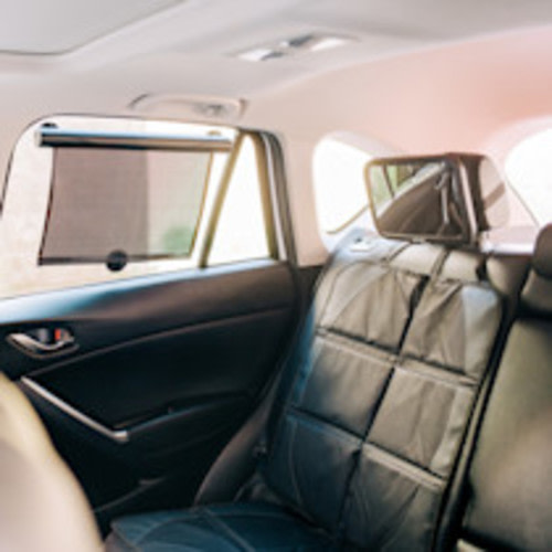 Sprucely Car Essentials Kit