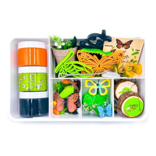 Butterfly Life Cycle Sensory Kit