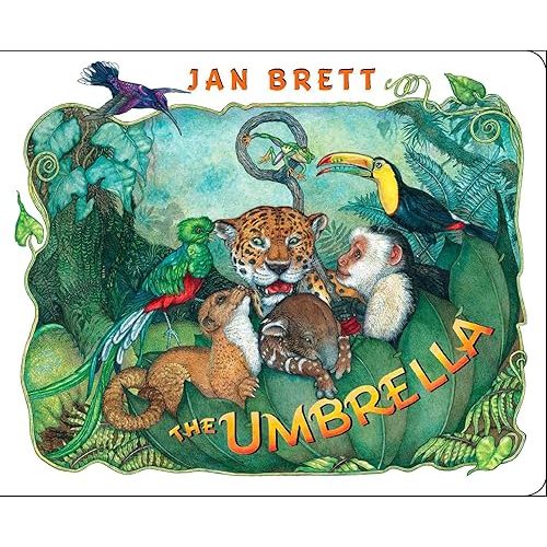 The Umbrella: board book Board book – Picture Book, February 17, 2011