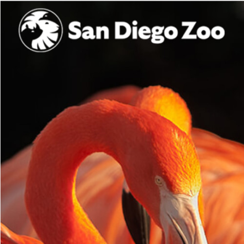 SD Zoo Pass/Gift Card