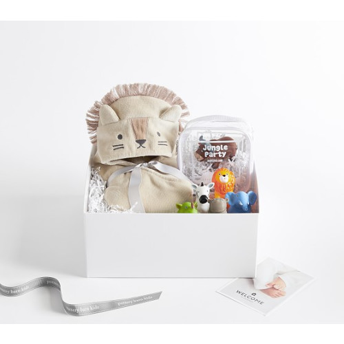 Pottery Barn Kids Bath Time Set - Lion