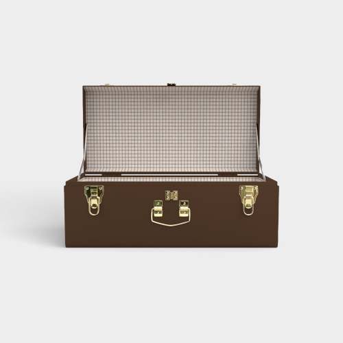 Petite Trunk - Brown