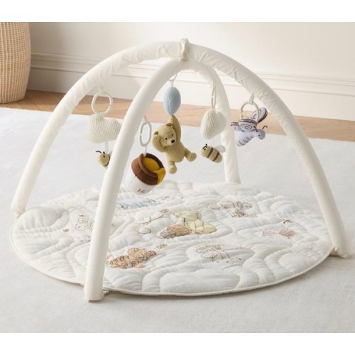 Disney's Winnie the Pooh Activity Gym