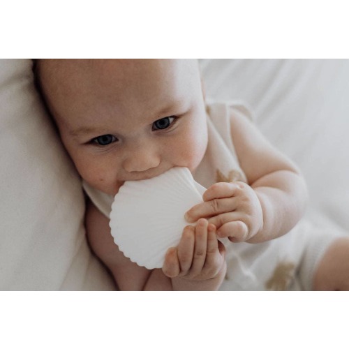 seashell teether