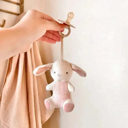 Itzy Ritzy - Bitzy Natural Rubber Pacifier + Stuffed Animal - Bunny