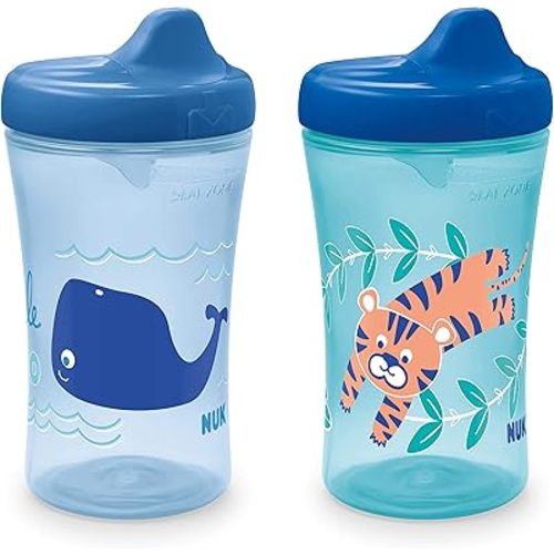 NUK First Essentials Hard Spout Sippy Cup